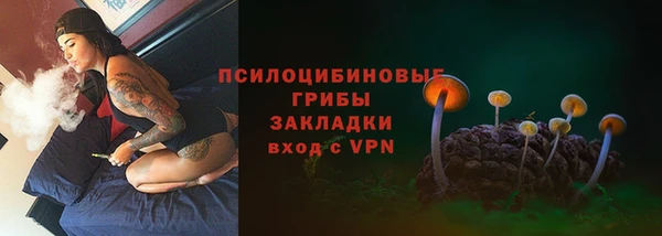 гидропоника Касимов