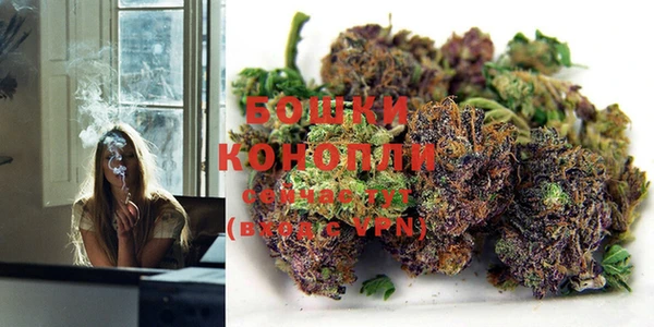 гидропоника Касимов