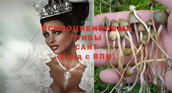 2c-b Карталы
