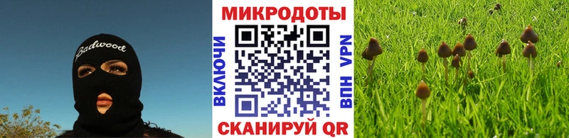 Галлюциногенные грибы Cubensis  Купить  Ладушкин 